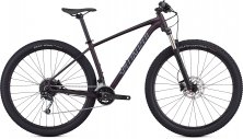 Women's Rockhopper Expert 2019