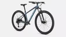 Rockhopper Expert 29 KH