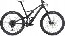 Men's Stumpjumper ST Expert 29 2019