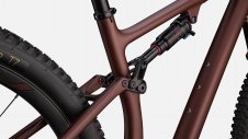 Specialized Epic EVO Expert 2023 Satin Rusted Red/Blaze/Pearl L