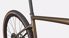 Diverge Expert Carbon 2025
