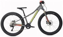 Riprock Expert 24 2018