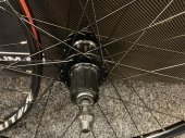 zapletená kola Specialized Stout XC 29 rychloupínák 6děr pár